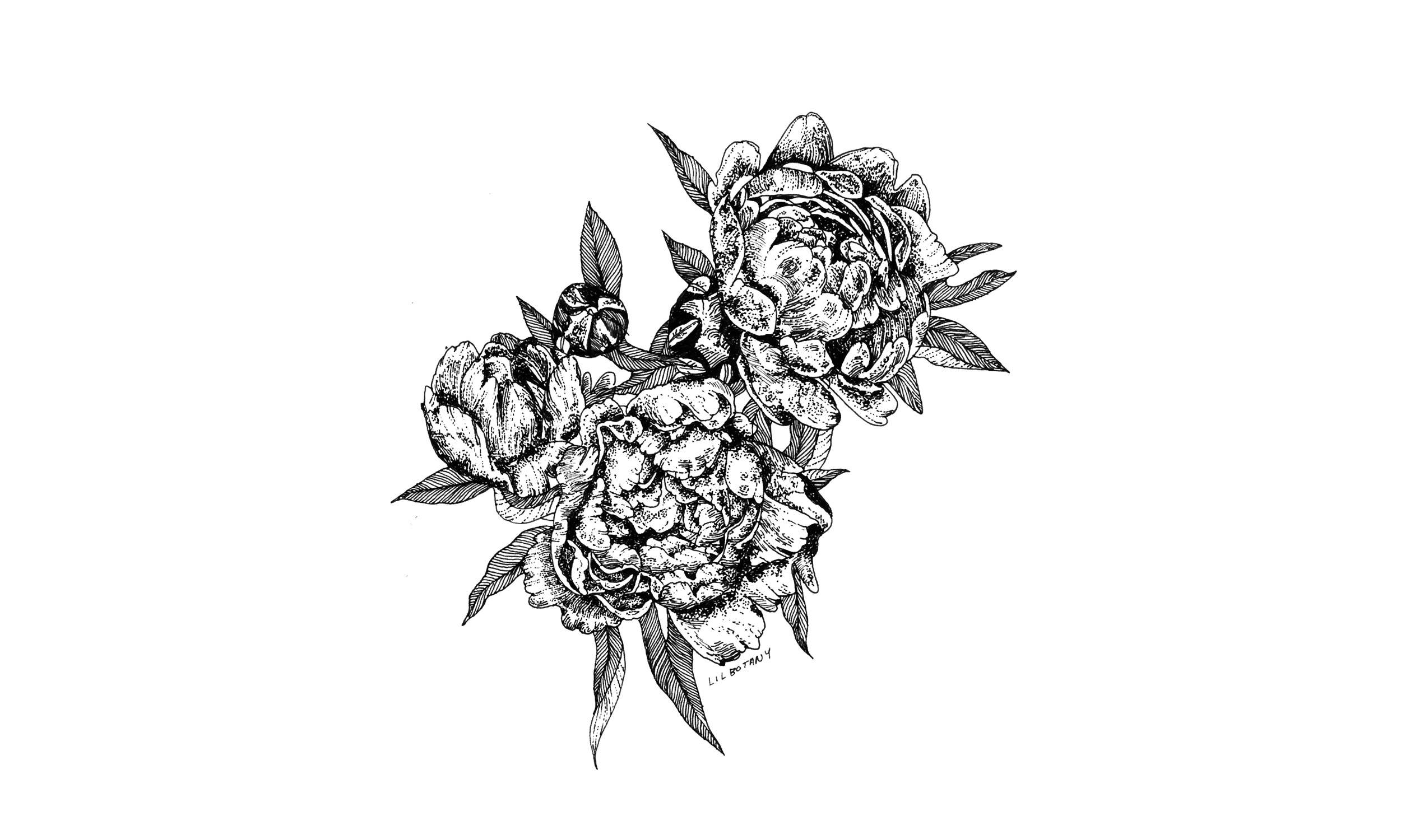 grayscale flowers
